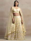 Floral Sequins Embroidered Lehenga Choli